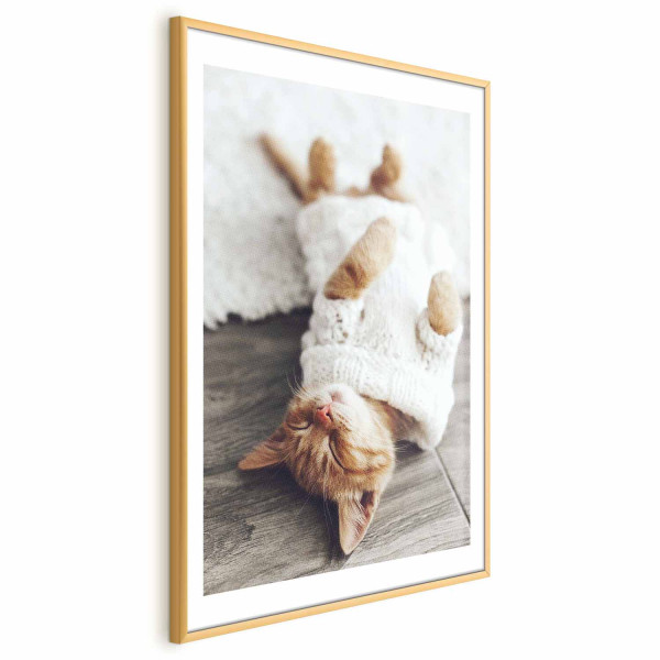 Plakat Leniwy kot 29,7x42 cm 589700