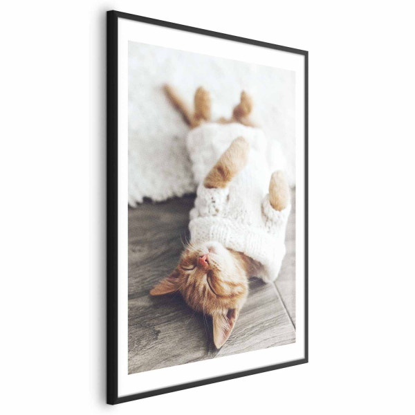 Plakat Leniwy kot 60x90 cm 590124