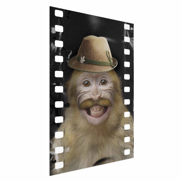 Plakat Małpa w kapeluszu 40x60 cm 587355