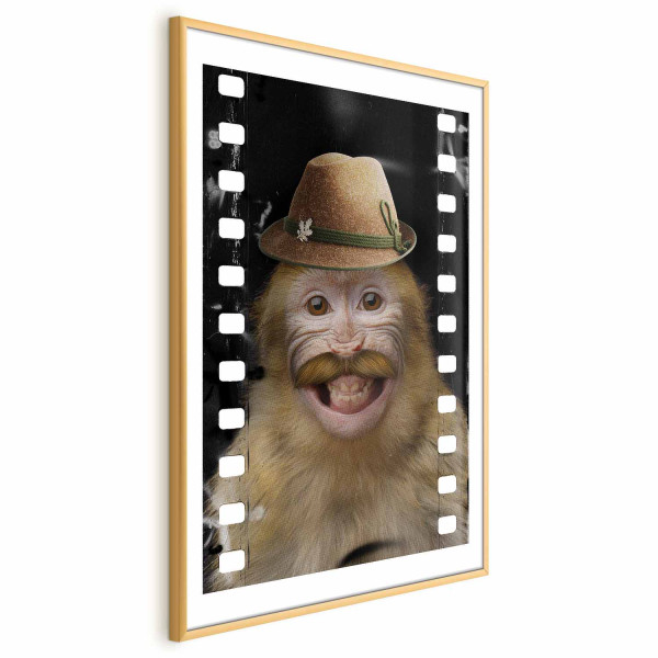 Plakat Małpa w kapeluszu 60x90 cm 583965