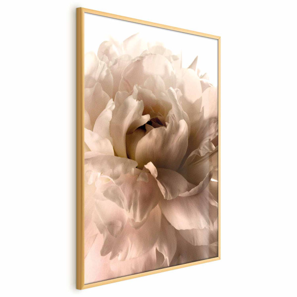 Plakat Miękkie płatki 29,7x42 cm 587707