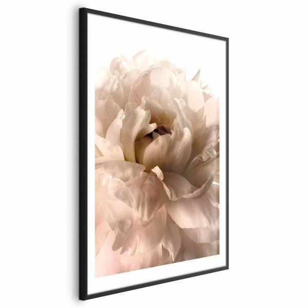 Plakat Miękkie płatki 29,7x42 cm 587759