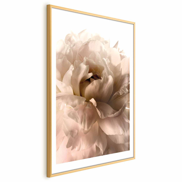Plakat Miękkie płatki 29,7x42 cm 584560