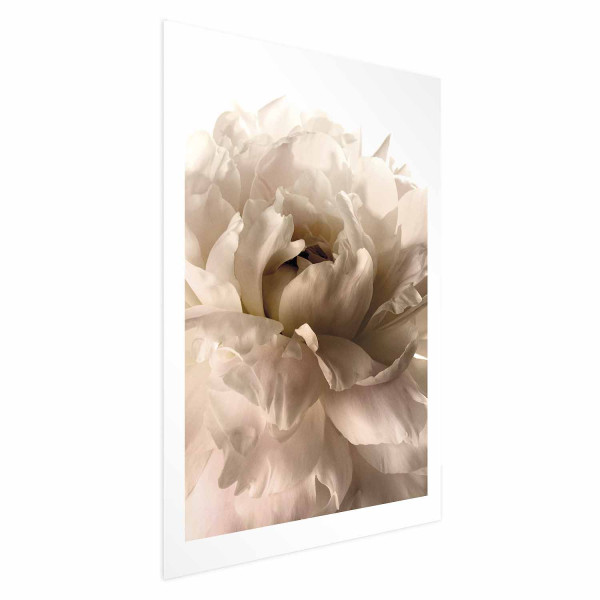Plakat Miękkie płatki 40x60 cm 588821