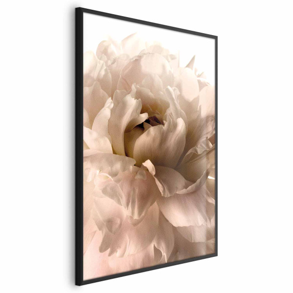 Plakat Miękkie płatki 40x60 cm 578759