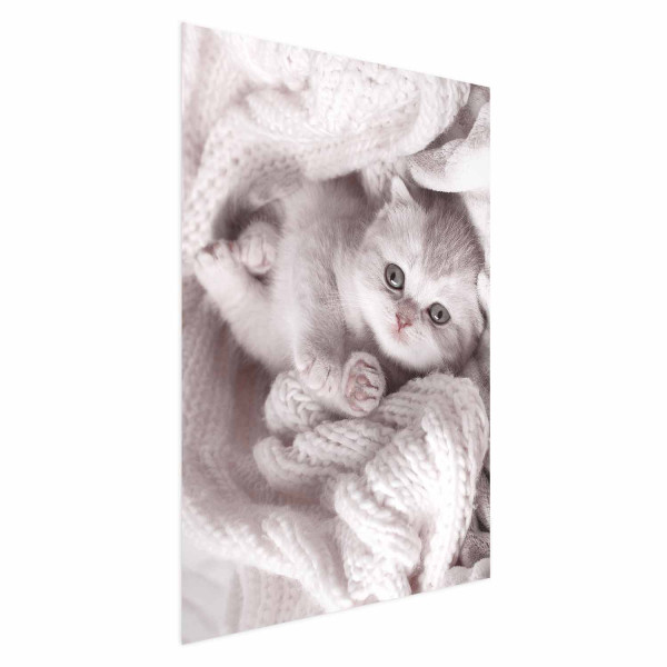 Plakat Miłośnik wypoczynku 21x30 cm 586525