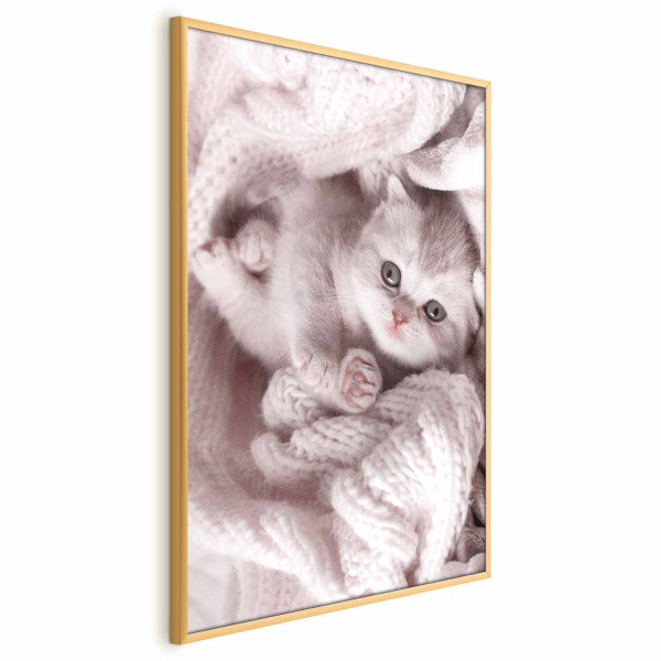 Plakat Miłośnik wypoczynku 21x30 cm 591240