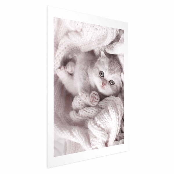 Plakat Miłośnik wypoczynku 40x60 cm 581680