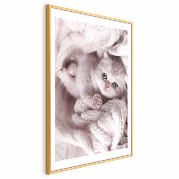 Plakat Miłośnik wypoczynku 60x90 cm 590180