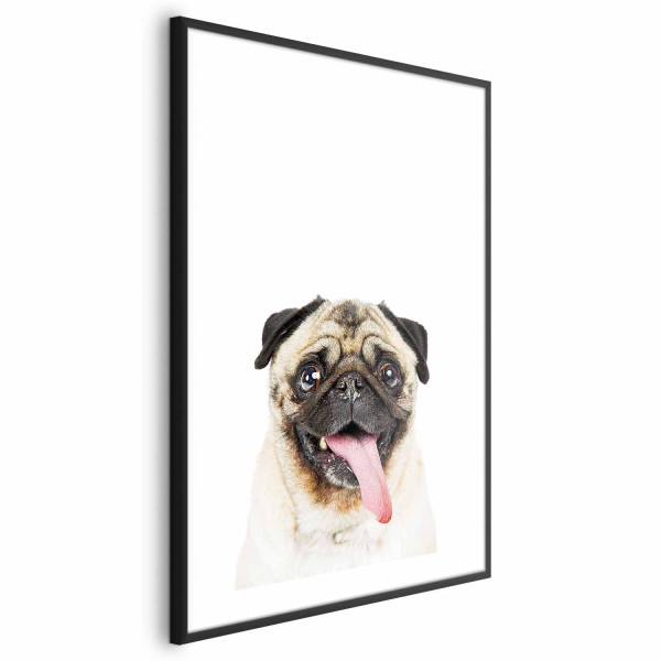 Plakat Mops 21x30 cm 587052