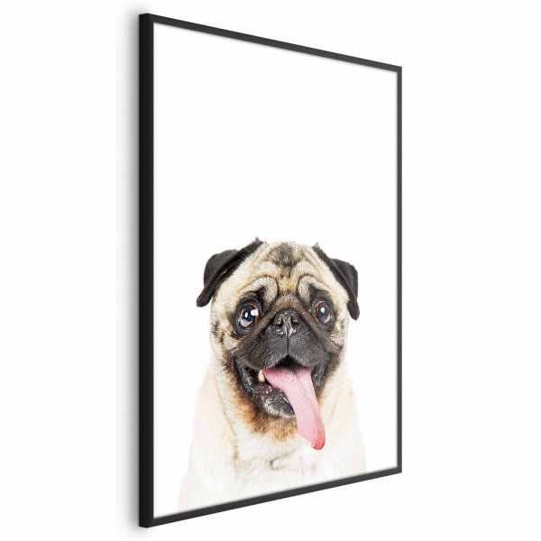 Plakat Mops 21x30 cm 590397