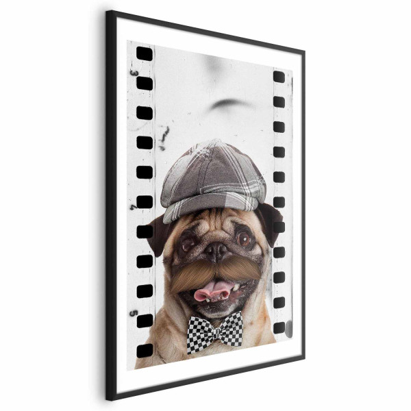 Plakat Mops w czapce 21x30 cm 581388