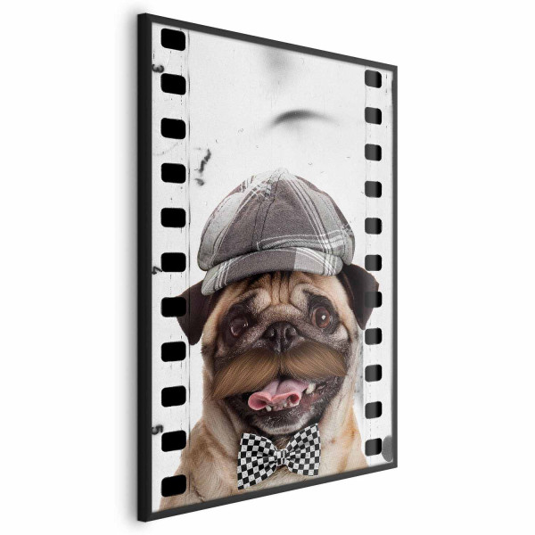 Plakat Mops w czapce 29,7x42 cm 581694