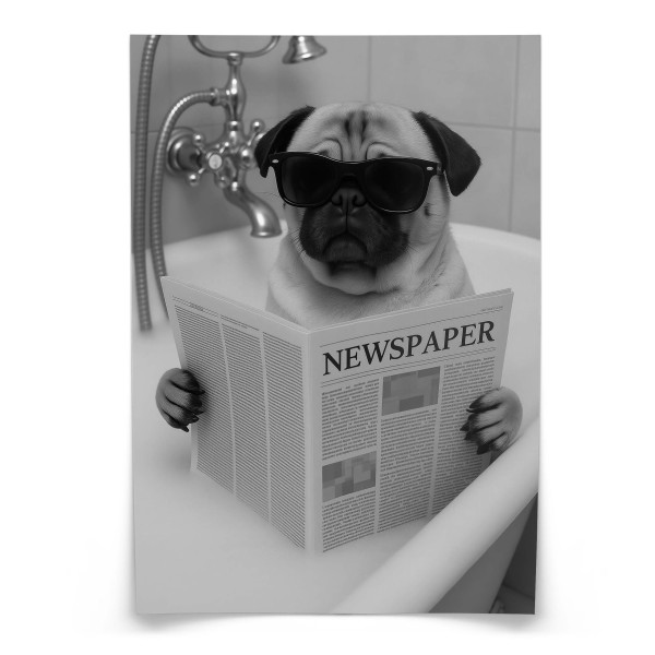 Plakat Mops we wannie 20x30cm 991900