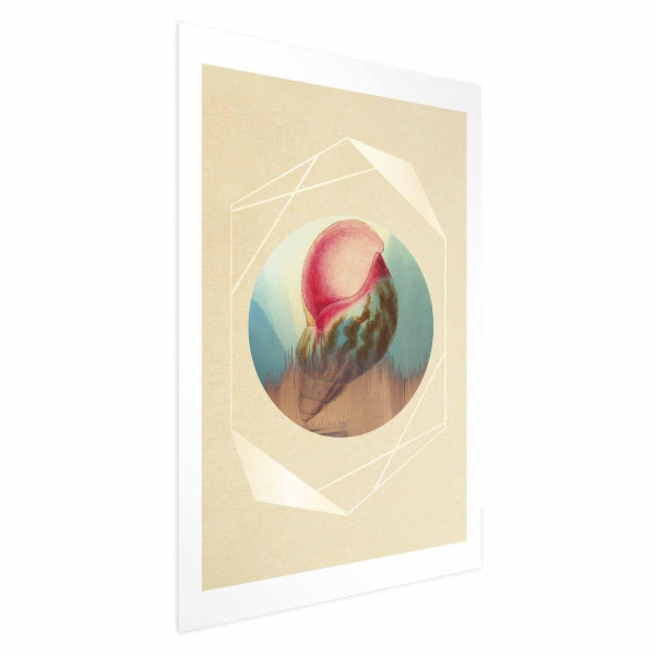 Plakat Muszla 29,7x42 cm 582630