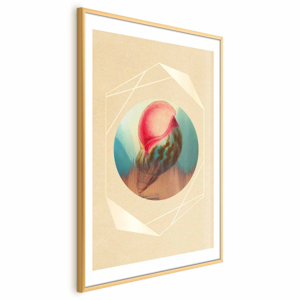 Plakat Muszla 40x60 cm 584023
