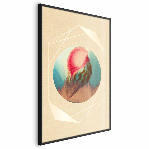 Plakat Muszla 40x60 cm 584923