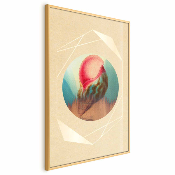 Plakat Muszla 40x60 cm 585202