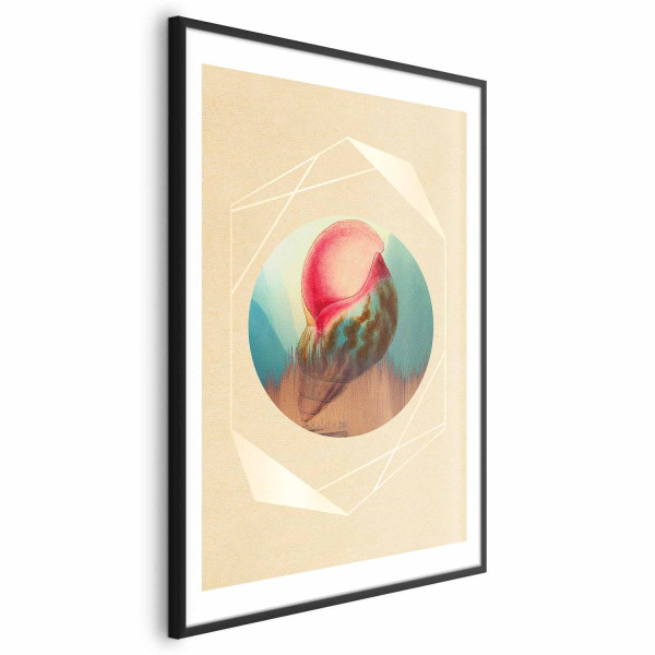 Plakat Muszla 60x90 cm 582831