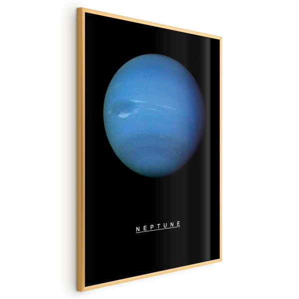 Plakat Neptun 40x60 cm 587833