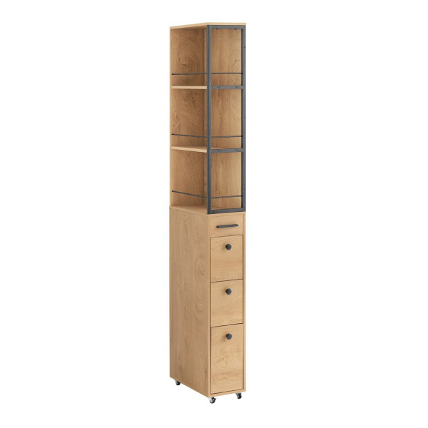 SoBuy Słupek łazienkowy z trzema szufladami 40x20x170cm NSR13-N 812351