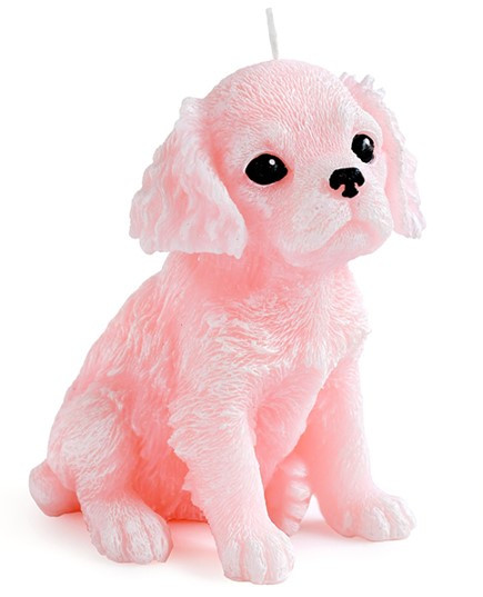 Świeca Figurka ANIMALS PIES SPANIEL 11x14cm różowa parafinowa 571063